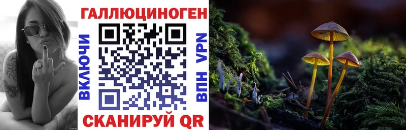 Псилоцибиновые грибы прущие грибы  kraken как войти  Чкаловск 